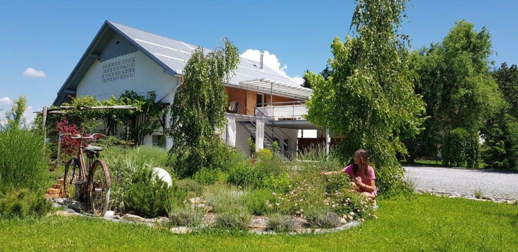 Hillside Bio Resort Delux Apartments Sesce Pri Preboldu Esterno foto